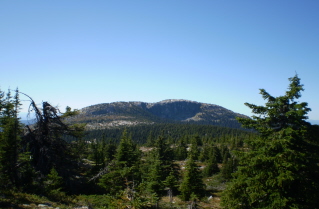 Little White Mtn peak in distance across alpine 2009-09.